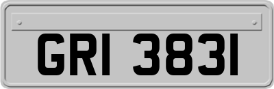 GRI3831