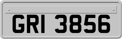 GRI3856
