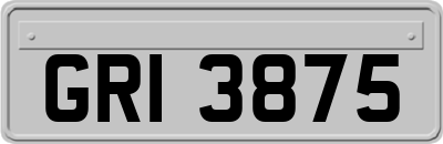 GRI3875