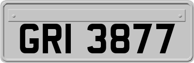 GRI3877