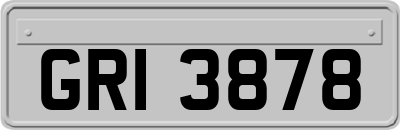GRI3878