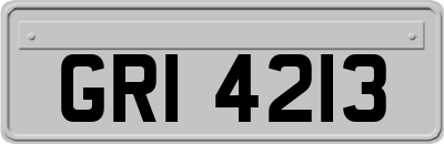 GRI4213