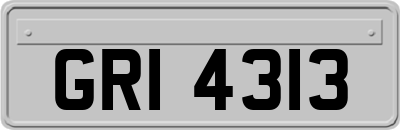GRI4313