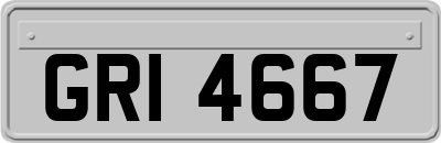 GRI4667