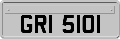 GRI5101
