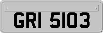 GRI5103
