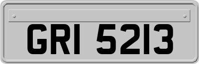 GRI5213