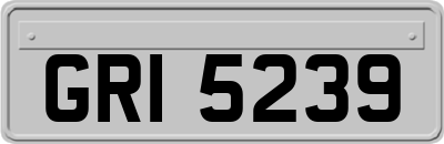 GRI5239