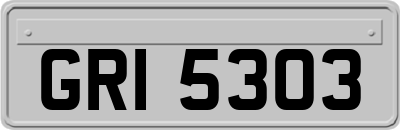 GRI5303