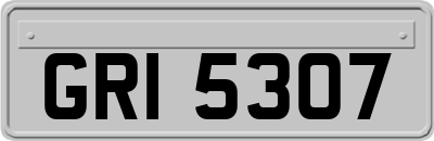 GRI5307