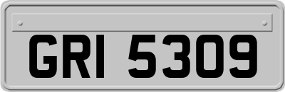 GRI5309