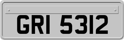 GRI5312