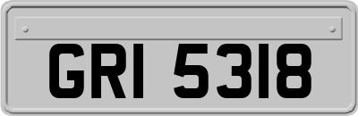GRI5318