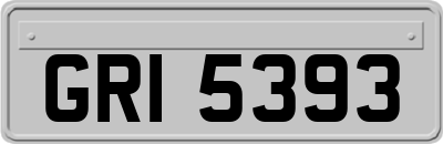 GRI5393