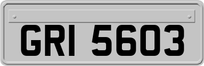 GRI5603