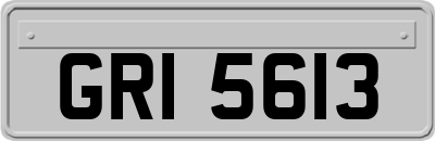 GRI5613