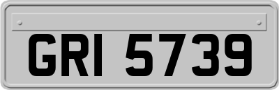 GRI5739