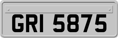 GRI5875