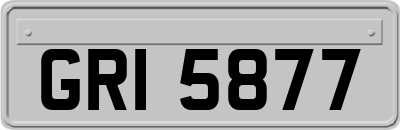 GRI5877