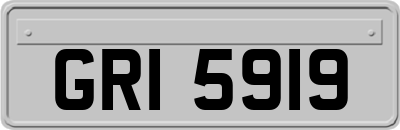 GRI5919