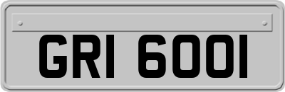 GRI6001