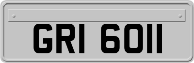 GRI6011