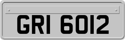 GRI6012