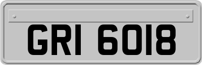 GRI6018