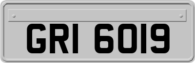 GRI6019