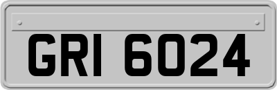 GRI6024