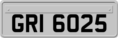 GRI6025