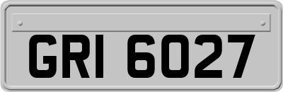 GRI6027