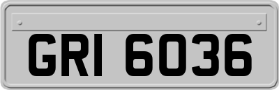 GRI6036