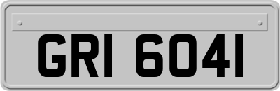 GRI6041