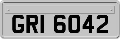 GRI6042