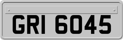 GRI6045