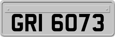 GRI6073