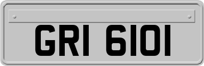 GRI6101
