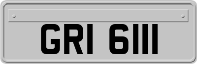 GRI6111