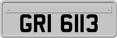 GRI6113