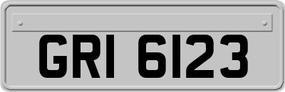 GRI6123