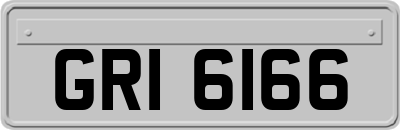 GRI6166
