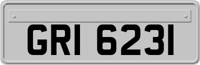 GRI6231