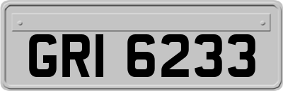 GRI6233