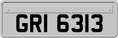 GRI6313