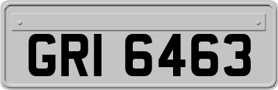 GRI6463