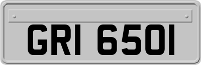 GRI6501