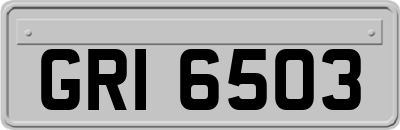 GRI6503