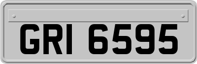 GRI6595