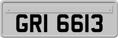 GRI6613